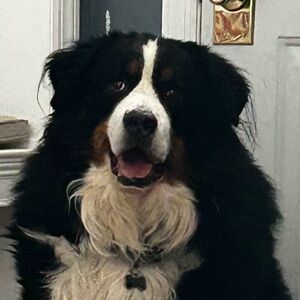 Meet your Posher, Jen